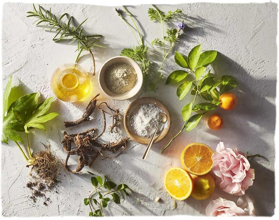 Tammy Fender formulation and botanical skincare image